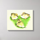 Search for drake canvas prints Duck