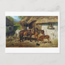 Search for harness postcards Vintage