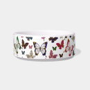 Search for bugs pet supplies Butterflies