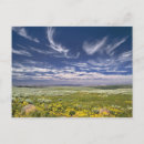 Search for spring mountains postcards Usa