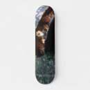 Search for turtle skateboards Nature
