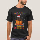 Search for halloween dachshund tshirts Lover