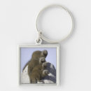 Search for group of animals key rings Wildlife