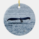 Search for tail christmas tree decorations Humpback