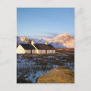 Search for isolate postcards White