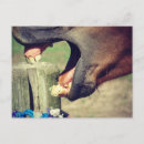 Search for yawn postcards Funny