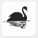 Search for black swan stickers Animal