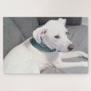 Search for st patricks day puzzles Adorable