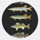 Search for fish on musky stickers Bait