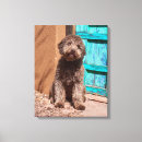 Search for collar canvas prints Friendship
