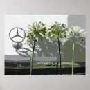 Search for agapanthus posters Colour