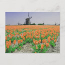 Search for popart postcards Travel