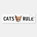 Search for kittys bumper stickers Kitty cat