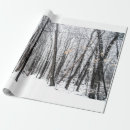 Search for birch bark wrapping paper Forest