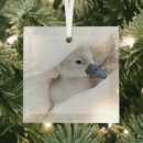 Search for swan christmas tree decorations Cygnet
