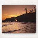 Search for washington park mouse mats Ocean