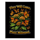 Search for milkweed butterfly posters Butterflies