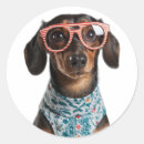 Search for dachshunds stickers Animal