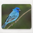 Search for bunt mouse mats Wildlife