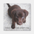 Search for puppy magnets Cute