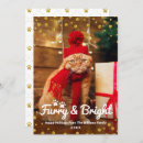 Search for funny photo christmas cards Cat