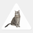 Search for gray tabby cat stickers Grey
