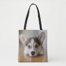 Search for corgis bags Cute