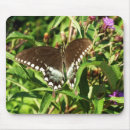 Search for butterfly on black mouse mats Floral