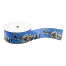 Search for cherry blossoms ribbon White