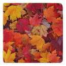 Search for maple trivets fall
