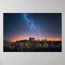 Search for lake tekapo posters Lupine