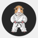 Search for girl ninja stickers Fighter