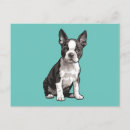 Search for terrier puppy postcards Boston