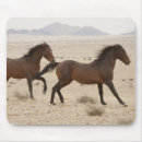 Search for namibia mouse mats Animal