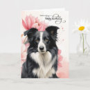 Search for border collie birthday cards Pets