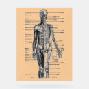Search for anatomy diagram posters Bones