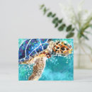 Search for sea turtle art postcards Tropical