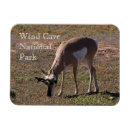 Search for grazing magnets Wildlife