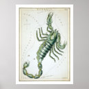 Search for scorpio art Retro