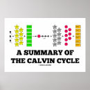 Search for photosynthesis posters Chemistry