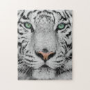 Search for white tiger puzzles Wild animals