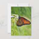 Search for butterfly art note cards Butterflies