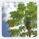 Search for negative space stickers Blue sky