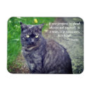 Search for walks magnets Animal