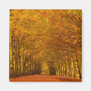 Search for forest walk magnets Trees