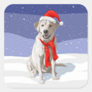 Search for yellow hat stickers Labrador retriever