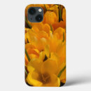 Search for crocuses electronics Garden