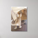 Search for curiosity art Standing