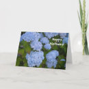 Search for hydrangeas birthday cards Garden