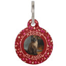 Search for christmas dog tags Pet lover
